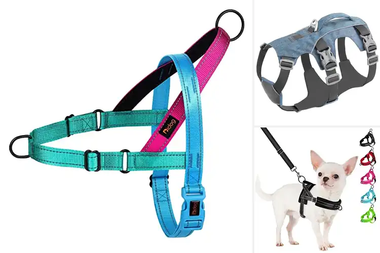 Detailed view of Best Adjustable Fit for Dogs Chest Measurement