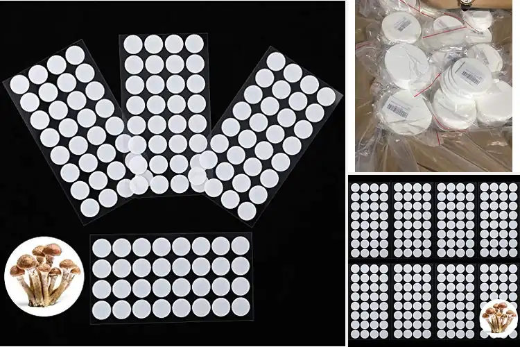 Detailed view of Best Autoclave Filter Discs: Grow Mushrooms with Confidence