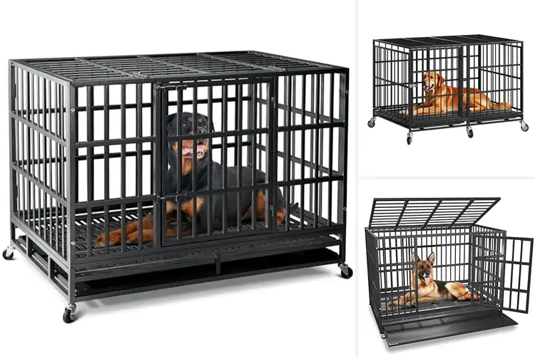 Detailed view of Best Chew-Proof Dog Crates: 10 Durable Picks for Safe Pets