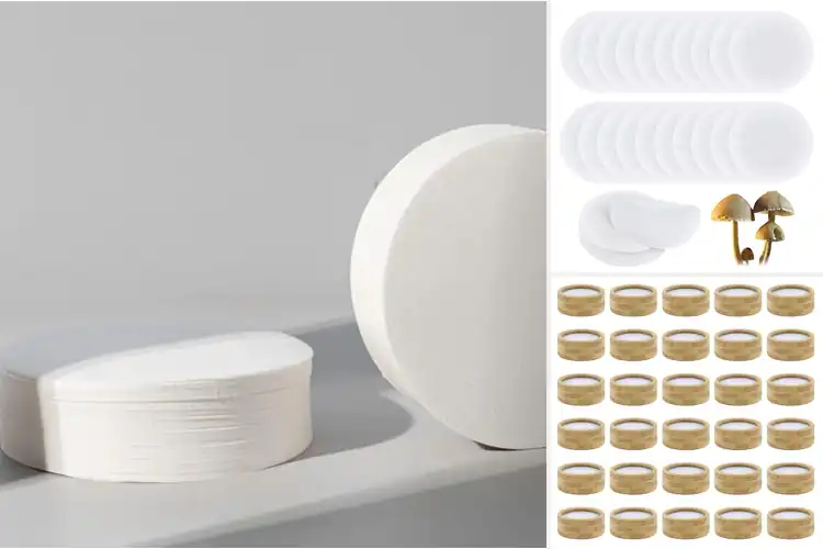 Detailed view of Best Circular Funnel Filters: Clean, Smooth, Effortless Flow