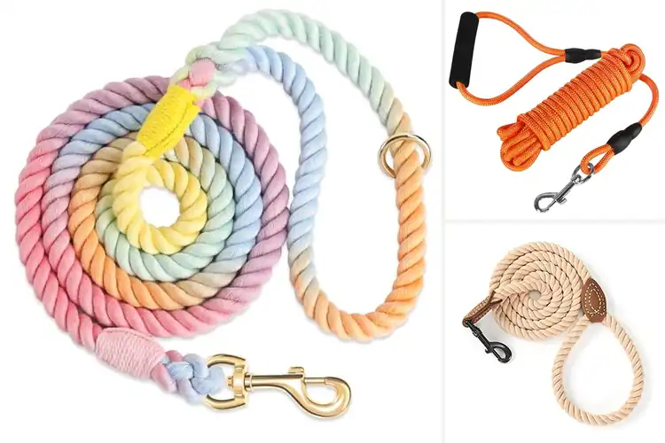 Detailed view of Best Dog Rope Accessories