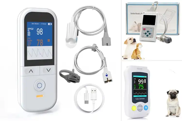 Detailed view of Best Family Oximeters