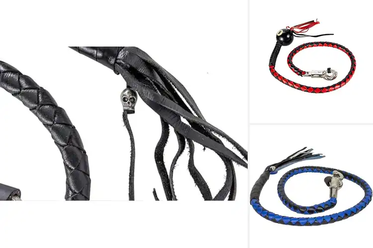 Detailed view of Best Motorcycle Whips