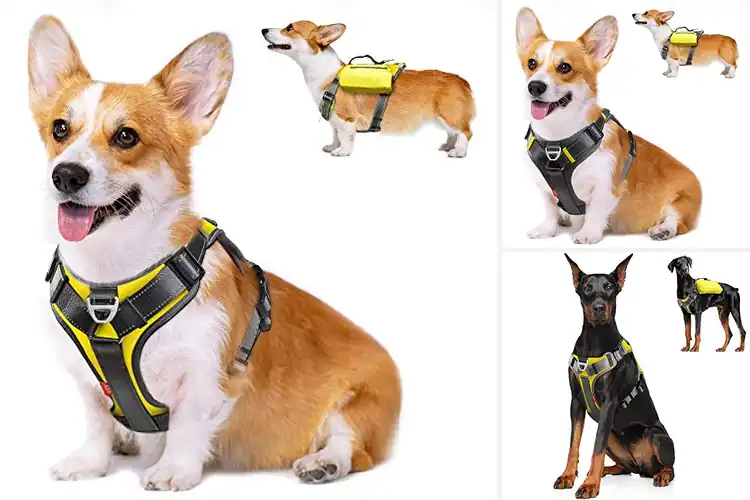 Detailed view of Best Multi Functional Dog Saddlebag Harness