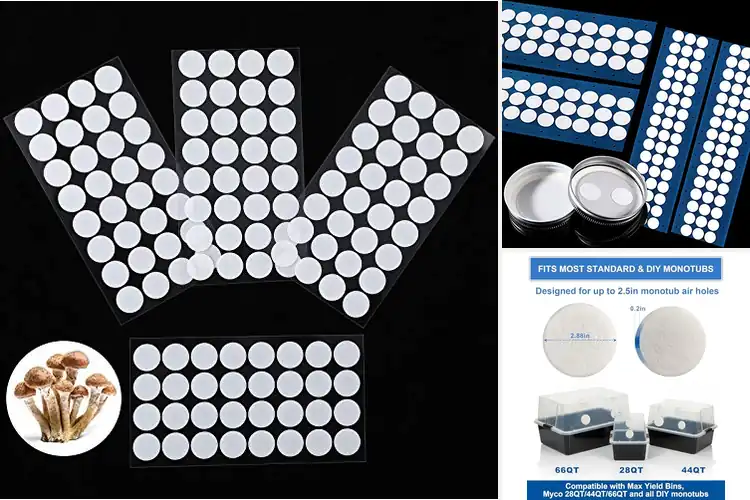 Detailed view of Best Mushroom Cultivation Filters for Clean, Steady Growth