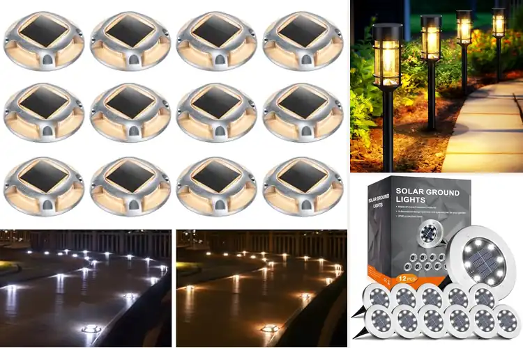 Detailed view of Best Solar Driveway Lights