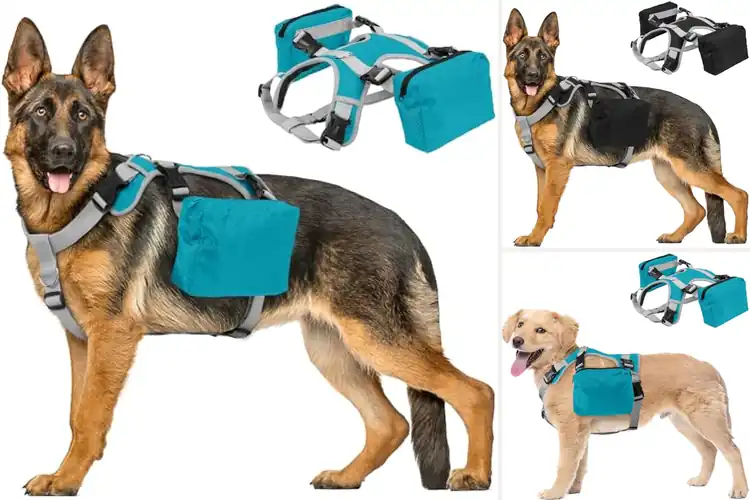 Detailed view of Best Water Repellent Polyester Backpack Harness